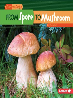 cover image of From Spore to Mushroom
